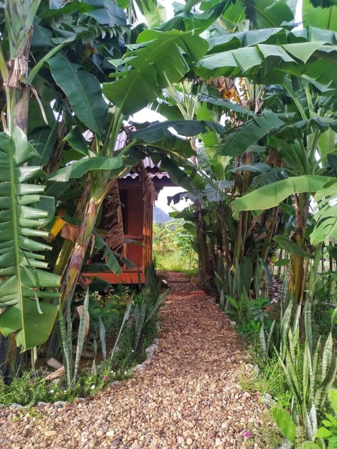 Nana Bungalows Ban Tan 部屋 写真